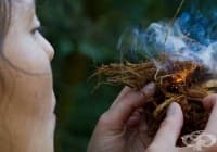 ������� ������ �� ���������, ����� ���� �� ���������� � ���������� ��������