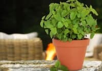 ���������� �������� � 8 ��������� ��������