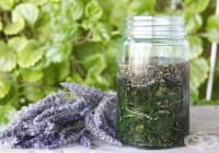 ���������� �������� � �������� �� ������ � ���������