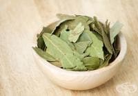 ���������� ������ �� ���� �� � �������� �� ������� ����