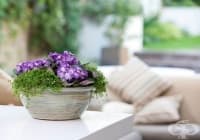 ����������� 15 �� ���-������� ������ �������� �� ����