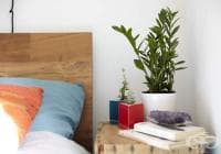 ����������� 5 ������ �������� �� ����������� �� ���� /2 ����/