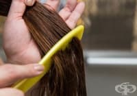 �������� ���-������� �������� ����� � ������� �� ������