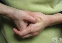 ���������� ������������ � ������� �� ������ � ���������� ��