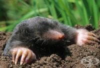 �������� �� �� ��������� �� ���������, �� ������� ����� � ���������