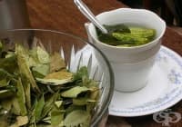 �������� �� �� ��������� � ��� �� ������� ����