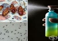 �������� �� �� ��������� �������� ��� ����� �� ����, ������ � �������