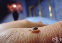 �������� �� �� ����������� ���� 12 ����� ������