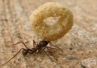 �������� �� �� ���������� � ���� � ���� 3 ��������� ������