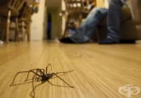 �������� �� �� ������� ���� 10 ���������� ������