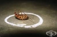 �������� �� �� ���������� � ������ � ������� ����