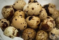 ��������� ������ � ����� �� ��������� ����, ������ � ����� �� ���������