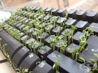 ������ ���������� ����� �� ������, ��� ������ �� ������ ������