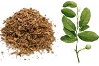 ����������� �������� �� ������ ��� ��������� ��������