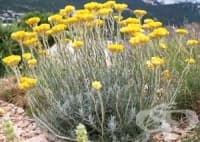 ����� ���� ���� ����� ���������