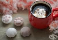 ����� ���� � ���������� �� �������� ��