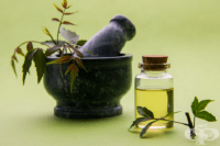 ����������� ����� �� ���� �� ������������ �� �������