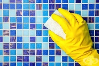 ��������� �������� � ���� � ���������� �������� �� �������� � ����� �����