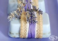 ���������� ������ ��� ����� �� ��������� � ���� �����