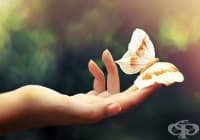 ���������� ������ �� ������ �� � 6 �������� ��������