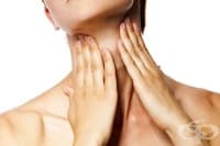 ���������� ������ �� ����� � ��������� � ����� �� ������� ���, ������ � ����