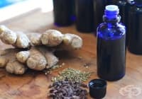 ��������� �������������� � �������� �� �����, ����� � ����������