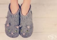 ��������� ���������������� �� ������� ���� 6 ��������� ������