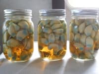 ��������� ���������������� �� ������� � ������ ����