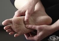 �������� ���������������� �� ������� � ������ �� ������, ���� � ������