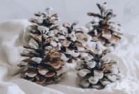 ����������� �������� ������� ���� �������� �� ����