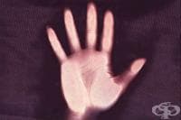 ���������� ������� �� �������, �� �� ��������� ������ �� ��������� ��