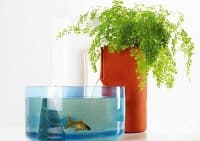 ������� ������� � ������ �� ������ ������� ��� � ���� �� ���������