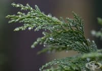 ������� ����� � ����� �� ������� ������ �����������