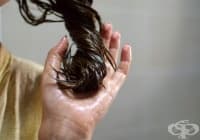 ������� ����������� ������� �� ���� � ��������, ���������, ��������� ��� � �������� �����