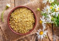 ������� ���� �� ����� ����� ���������