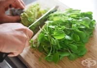 ���������� ������ ���� � ��� �� ������