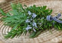 ������������� ���������������� ���������� �� ������ � �������� � ��������� ���