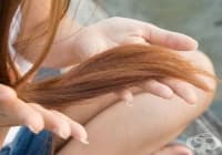 ������������� ��������� ������ �� ������ ���� 9 ������