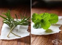 ������������� ������������ �� ������ � ������� �� ����� � ��������