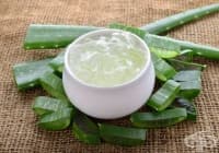 ������������� ������������ ������ � ���� ����, ������ ���� � ����� �����