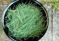 ������������� ������������ ������ � ������ ����