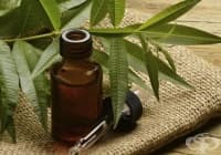 ������������� ������������ ������ � �������� ����� �� ����� �����