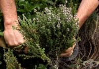 ������������� ������������ ������ � �������, �������� � ����