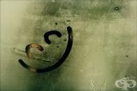 ������������� ������������� �� ���������� � ������� �� ����� � �������