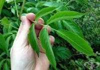 ������������� ������������ ������ � ������ �� ���