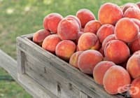 ���������� �������� �� ������ � ��������