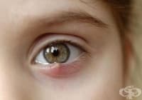 ���������� ������� �� ����� � ���� ����