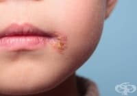 ���������� ������� � �������� �� ������ �������