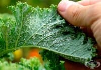 ���������� �������� ����� �� ���������� ��� �������� ����