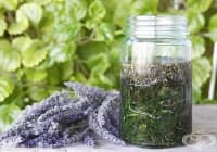 ���������� �������� �� ������ � �������� ����� �� ���������